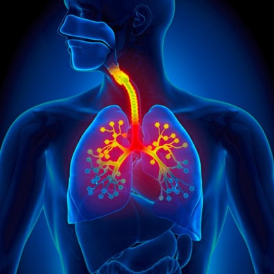 COPD, Asthma, Lunge, Atemwege