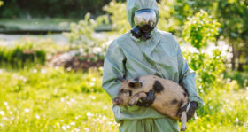 Schweinegrippe Wissenschaftler
