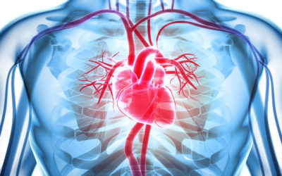 Einen kompakten Überblick über die neuesten Studien in der Kardiologie haben Experten beim Cardio Update vorgestellt.