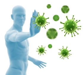 Immunsystem Immunabwehr