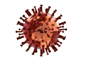 Illustration des Coronavirus