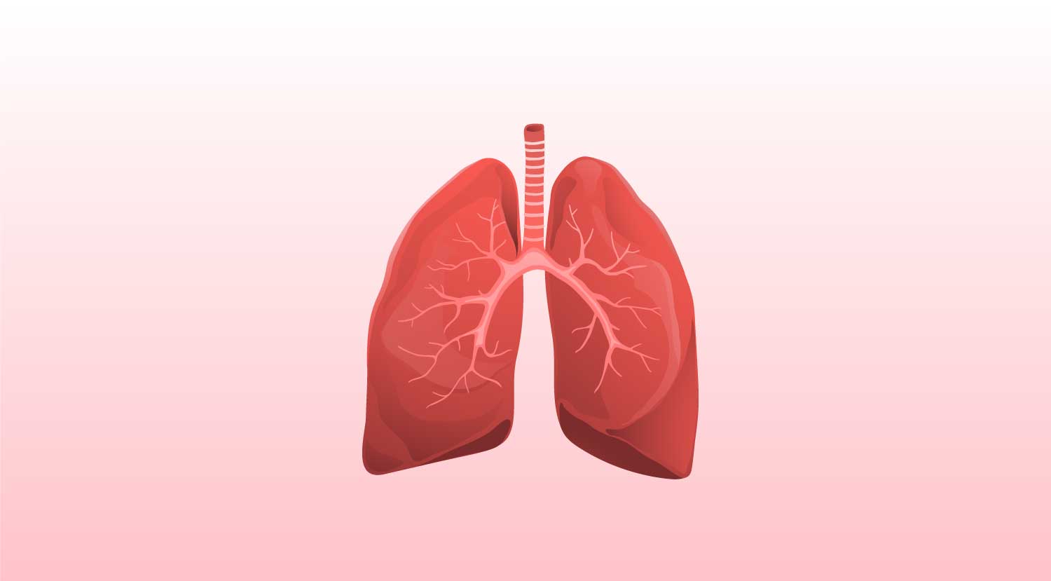 COPD und Asthma sind chronische Atemwegserkrankungen, die in Deutschland weit verbreitet sind. Trotz ähnlicher Symptome handelt es sich jedoch um zwei eigenständige Krankheitsbilder, die eine unterschiedliche Behandlung fordern. Im Rahmen der Disease Management Programme erhalten Betroffene individuelle Therapiekonzepte.