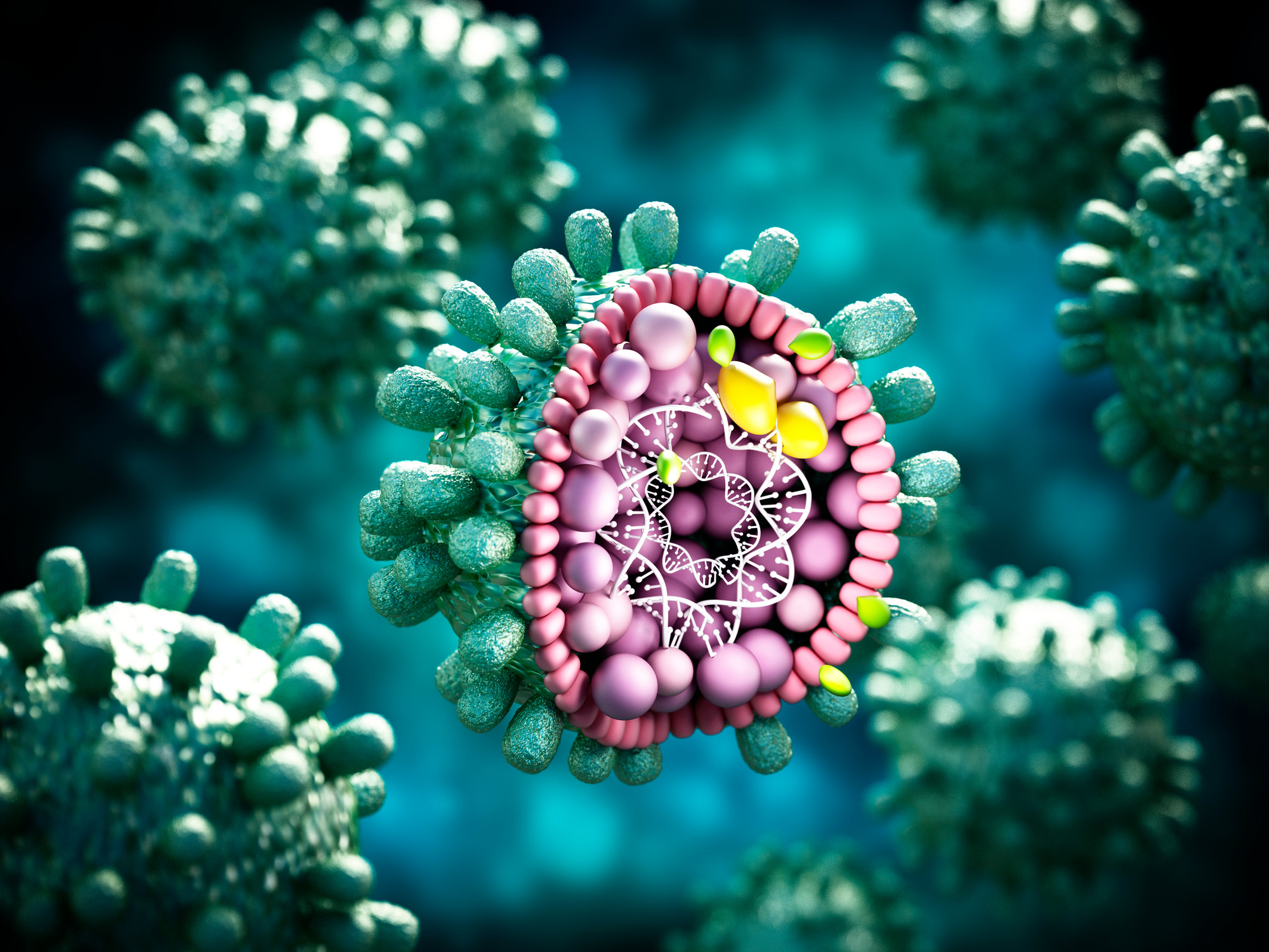 Kürzlich wurden Tests auf Hepatitis B und C in die Gesundheitsvorsorge ("Check-up") aufgenommen. Versicherte ab 35 Jahren können sich einmalig auf diese beiden Erkrankungen untersuchen lassen. Dr. med. Ulrich Scharmer sprach darüber mit der Virologin Prof. Dr. med. Ulrike Protzer, München.